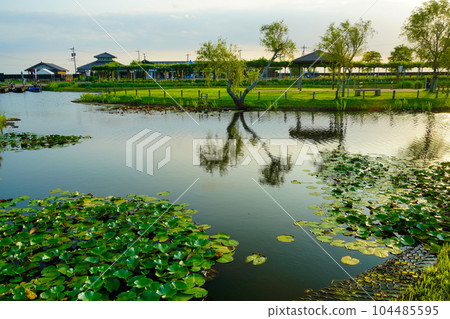 (Chiba Prefecture) Suigo Sawara Ayame Park evening view (Chiba Prefecture) Suigo Sawara Ayame Park evening view 104485595