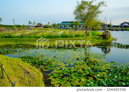 (Chiba Prefecture) Suigo Sawara Ayame Park evening view (Chiba Prefecture) Suigo Sawara Ayame Park evening view 104485596