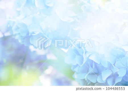 在有陰影和陽光的幻想繡球花的背景下 104486553