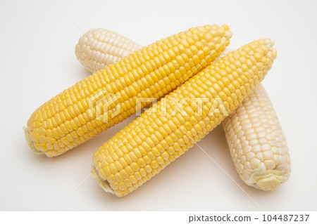 玉米 104487237