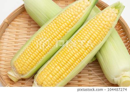corn  corn  104487274