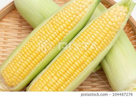 corn  104487276