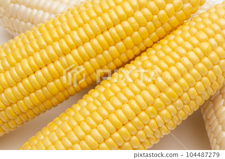 corn  104487279