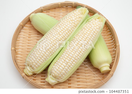 corn  104487351