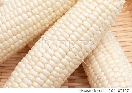 corn corn 104487357