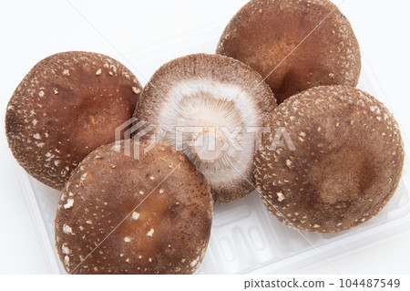 香菇(香菇) 香菇(香菇) 104487549