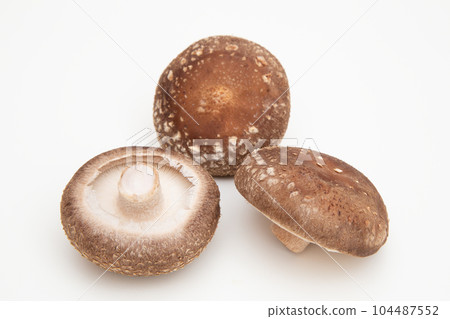 香菇(香菇) 香菇(香菇) 104487552
