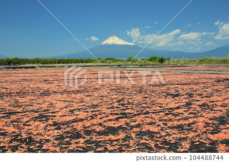 富士山櫻花蝦乾 104488744
