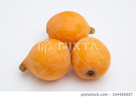 Loqui(枇杷) Loqui(枇杷) 104488887