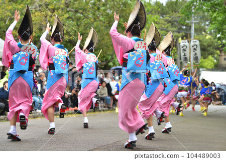 Awa Odori spring festival "Tokushima Castle Awa Odori" famous women's dance Awa Odori spring festival "Tokushima Castle Awa Odori" famous women's dance 104489003