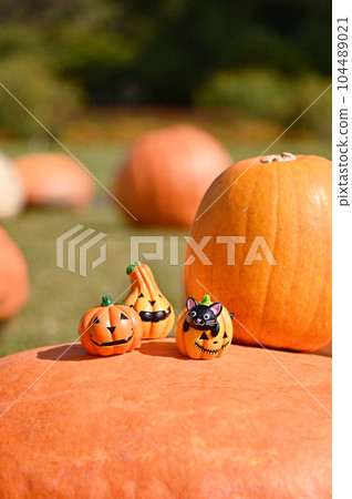 halloween miniatures halloween miniatures 104489021