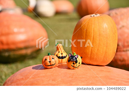 halloween miniatures 104489022