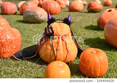 Halloween  104489026