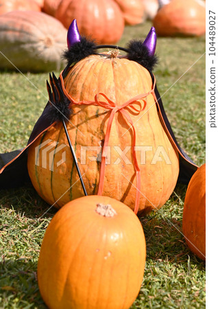Halloween  104489027