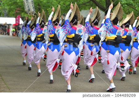 Awa Odori spring festival "Tokushima Castle Awa Odori" famous women's dance 104489209