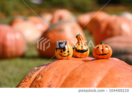 halloween miniatures 104489220