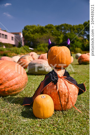Halloween  104489221
