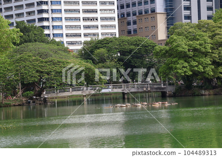 曼谷景觀，可欣賞碧波蕩漾的綠色水面池塘、橋樑、綠樹森林公園和摩天大樓城市 104489313