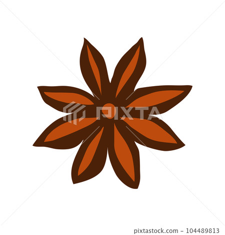 Anise star isolated on a white background Anise star isolated on a white background 104489813