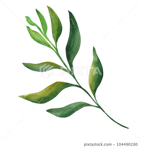 Abstract leaf. mythical leaf on a white background. Elements for your design 104490280