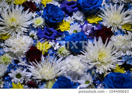 Blue flowers floating on the water Blue flowers floating on the water 104490683