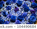 Blue flowers floating on the water 104490684