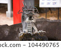 dragon spewing water 104490765