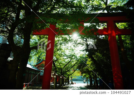 Torii of Hanazono shrine Torii of Hanazono shrine 104491027