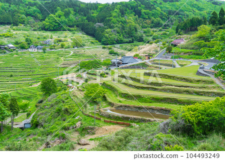 Kaminoyama Terraced Rice Fields, Mimasaka City, Okayama Prefecture 104493249