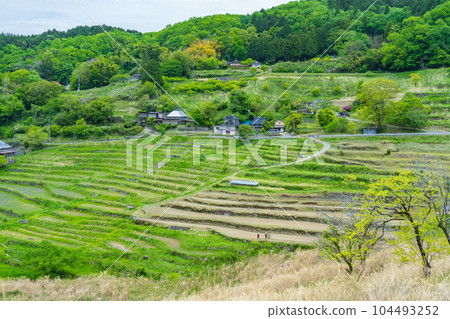 Kaminoyama Terraced Rice Fields, Mimasaka City, Okayama Prefecture 104493252
