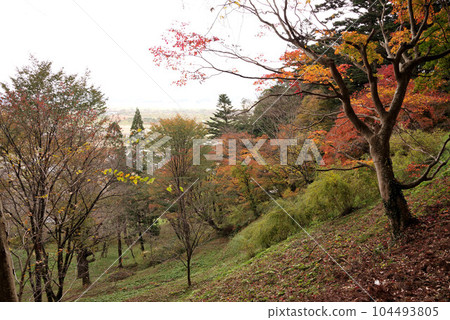 Chusonji Temple in Autumn Chusonji Temple in Autumn 104493805