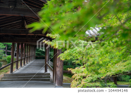 Tofukuji Temple and the dark green Tsutenkyo Bridge 104494146