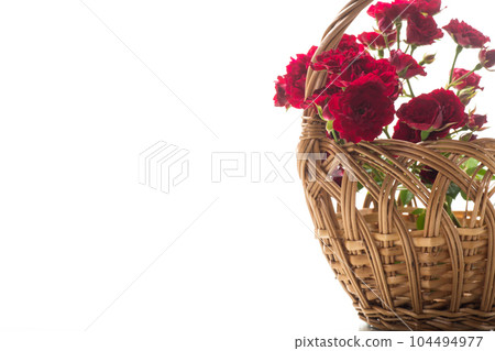 bouquet of red small roses, on white background. 104494977