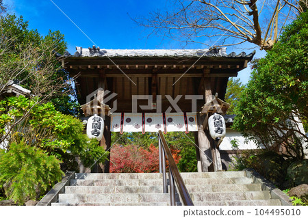 Beautiful autumn leaves of Kamakura Kakuonji 104495010
