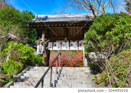 鎌倉覺園寺美麗的秋葉 鎌倉覺園寺美麗的秋葉 104495038