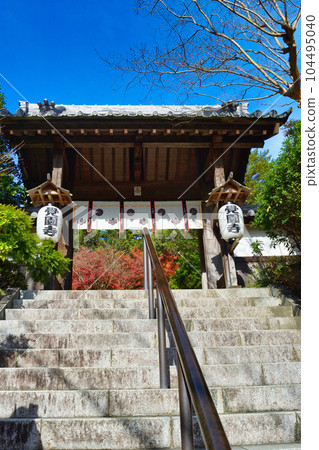 鎌倉覺園寺美麗的秋葉 鎌倉覺園寺美麗的秋葉 104495040