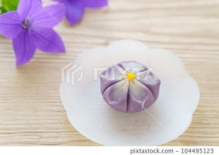Seasonal Japanese Sweets "Kikyo" 104495123