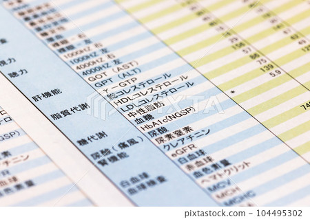 醫療證明 104495302