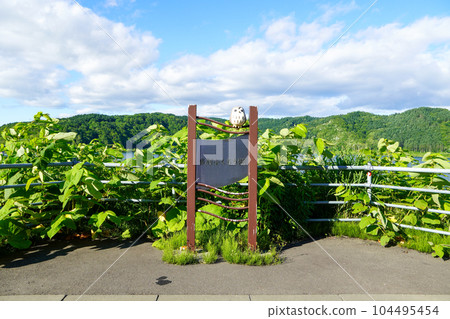 當別貓頭鷹湖（當別水壩） 104495454