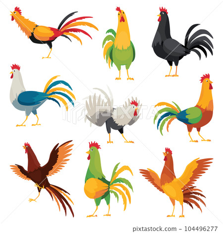 Farm cock icons. Set of adorable cock animal at dawn. Colorful rooster, poultry farming vector Illustration on white background 104496277