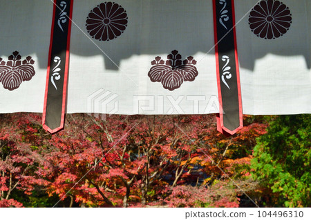 鎌倉覺園寺美麗的秋葉 鎌倉覺園寺美麗的秋葉 104496310