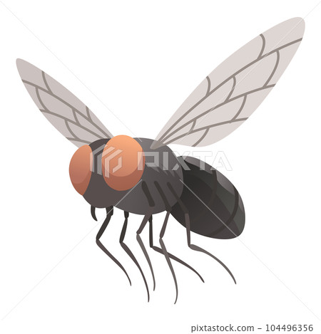 Housefly insect icon. Wildlife symbol in cartoon style. Scary insect. Graphic design element. Entomology closeup color vector illustration isolated on white background Housefly insect icon. Wildlife symbol in cartoon style. Scary insect. Graphic design element. Entomology closeup color vector illustration isolated on white background 104496356