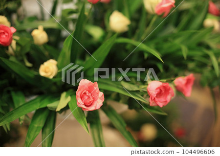 Pink and white rose decoration in bouquet for wedding reception 104496606
