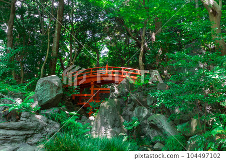 Koishikawa Korakuen 2023 (Summer) Tsutenkyo Bridge 104497102