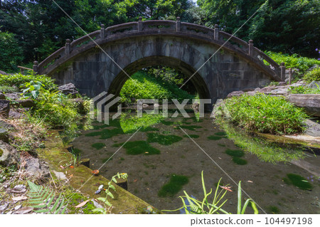 小石川後樂園2023（夏）圓月橋3 104497198