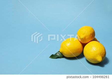 Concept of tasty citrus fruit - delicious lemon 104498261