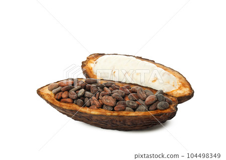 PNG, ingredient for making chocolate - cocoa, isolated on white background 104498349