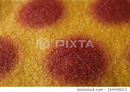 Concept of tasty and sweet food - pastille 104499013