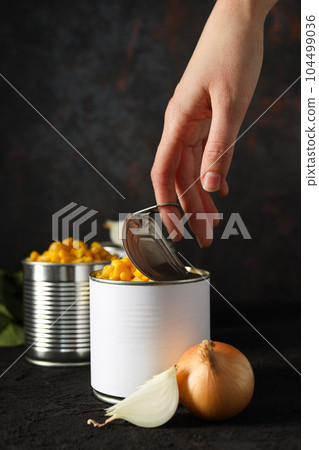 Canned food in blank metal jars, concept of canned food 104499036