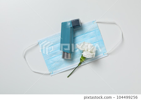 World Asthma Day, concept of allergy care - Asthma 104499256
